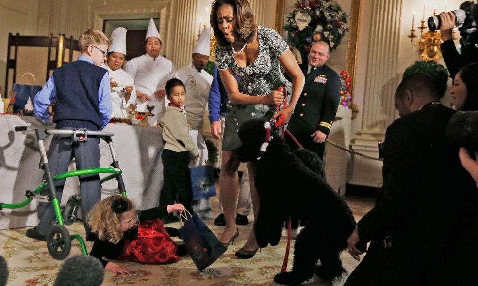 Sunny, perro de los Obama, muerde a joven en el rostro