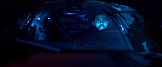 Las 10 canciones más populares de la semana