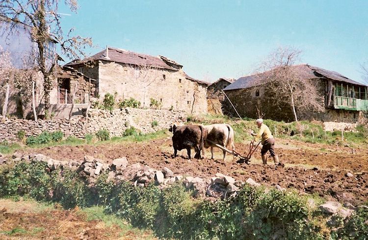 Prevén escasez de alimentos para 2050 - tierra-