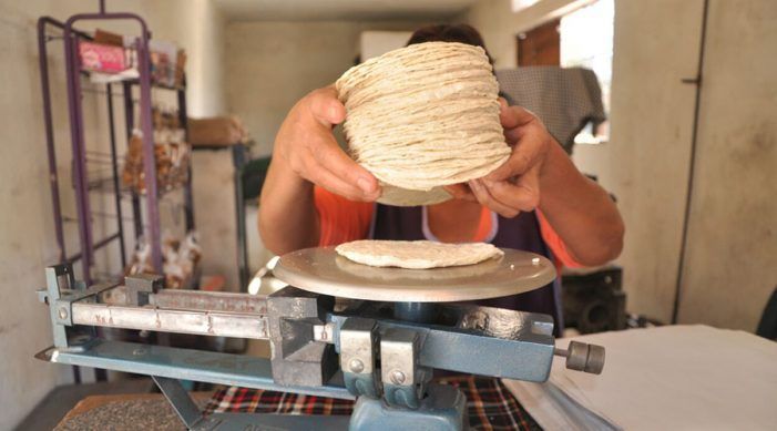 Alza en los combustibles sí trajo aumento de 2 pesos a la tortilla - tortilla-2