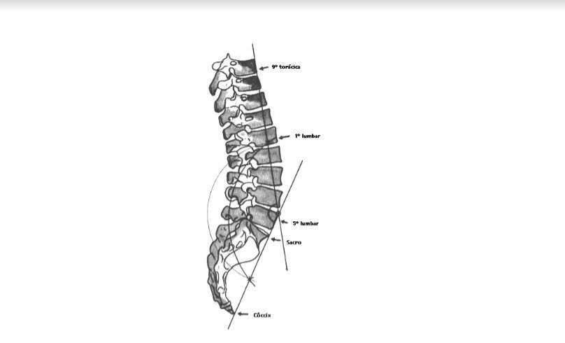¿Dónde está el centro de gravedad del cuerpo (CORE)? - weimar-3
