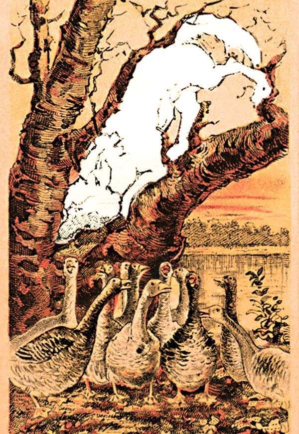 ¿Puede encontrar al zorro en esta imagen? - zorro-2