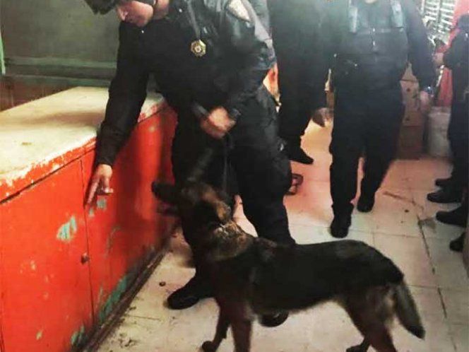 PGR decomisa tenis piratas y armas en la delegación Cuauhtémoc