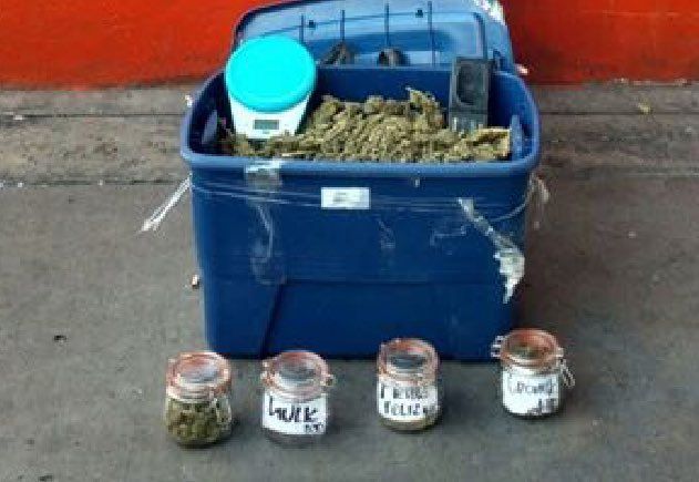 Detienen a hombre de 19 años por narcomenudeo en Tepito - C4k34W3UEAQNpP_