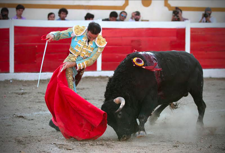 Toro provoca caos en el callejón mientras otro estaba en el ruedo - Captura-de-pantalla-2017-02-07-a-las-14.13.25