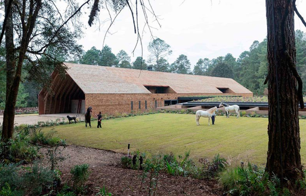 Entregan al gobierno de Veracruz parte de rancho de Javier Duarte - Captura-de-pantalla-2017-02-13-a-las-11.31.05