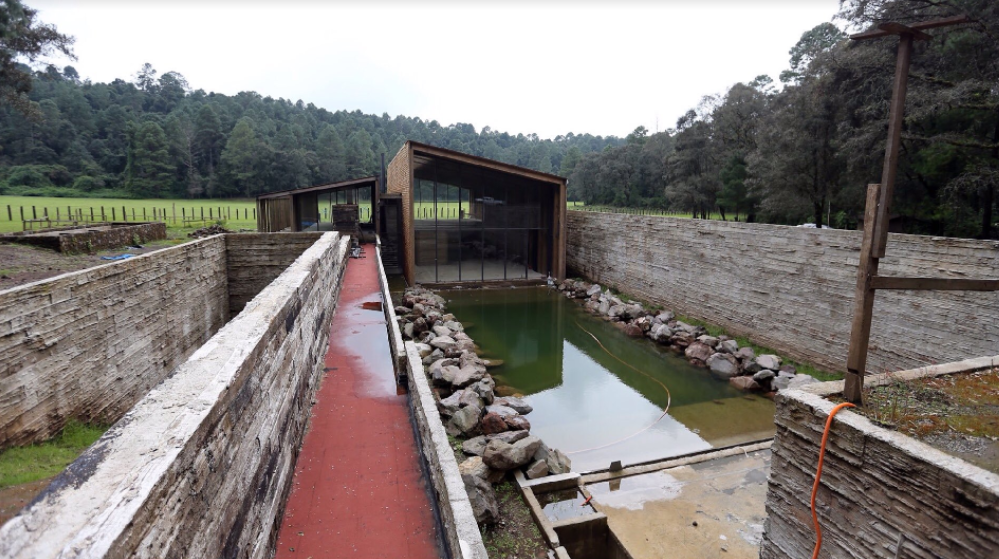 Entregan al gobierno de Veracruz parte de rancho de Javier Duarte - Captura-de-pantalla-2017-02-13-a-las-11.43.40