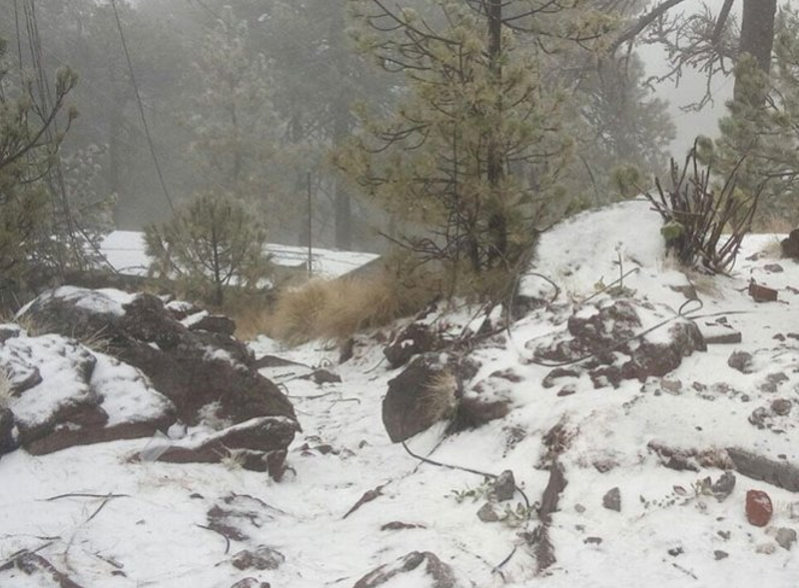 Nieva en Michoacán - Captura-de-pantalla-2017-02-17-a-las-14.43.18
