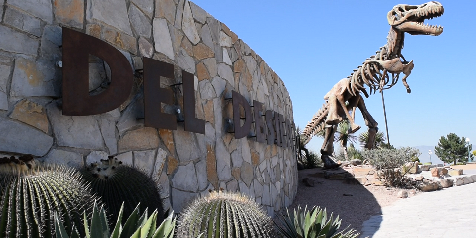 Encuentran nueva especie de dinosaurio en Coahuila