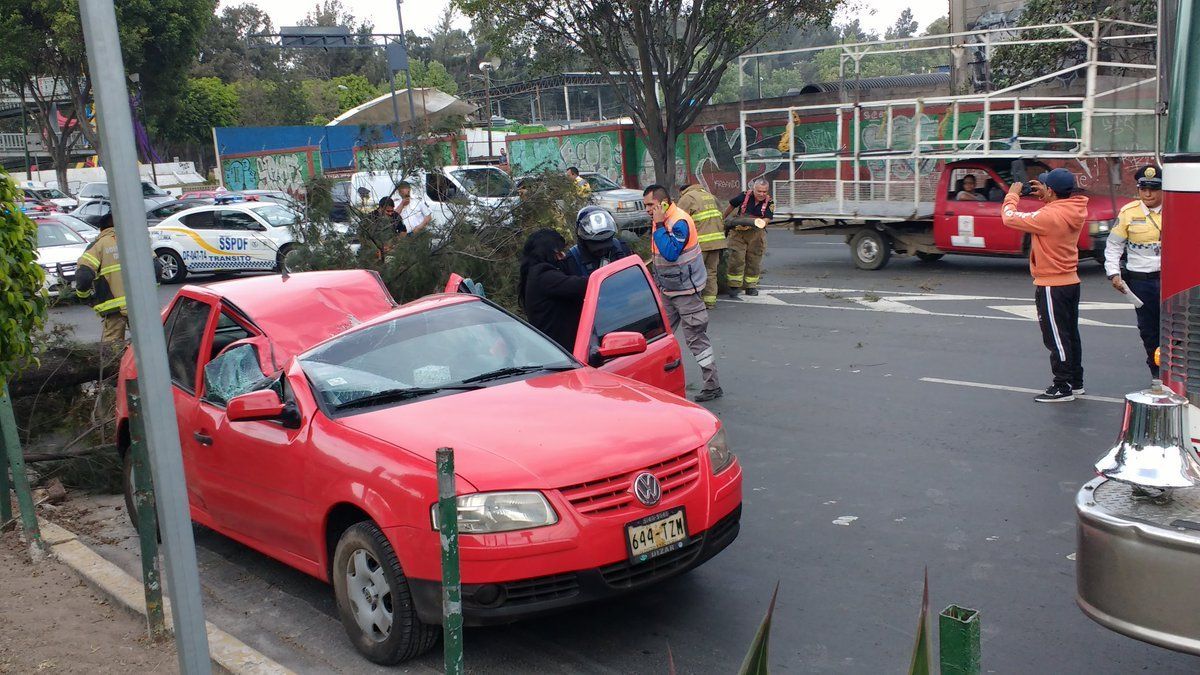 Cae árbol e impacta a vehículo en Iztapalapa