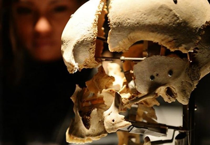 Muestran cuerpos plastificados en el Parque Naucalli