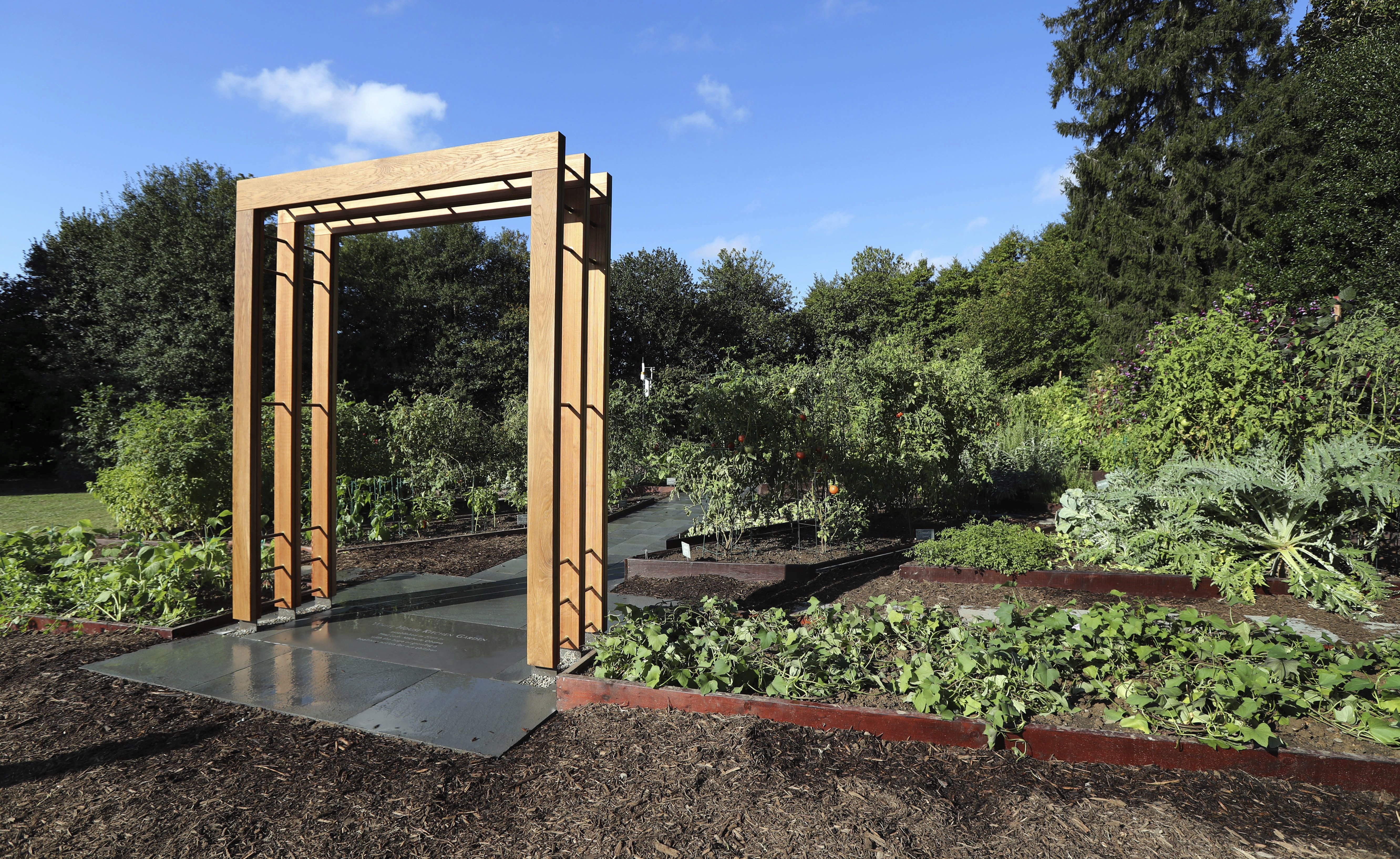 Melania Trump conservará el huerto de Michelle Obama