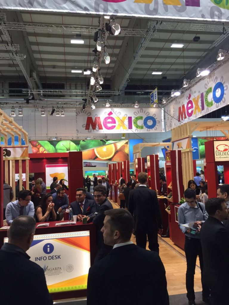 México participa en la 'Fruit Logistica 2017' en Berlín - WhatsApp-Image-2017-02-09-at-6.02.47-PM-768x1024