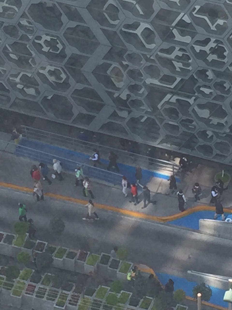 Incendio en Liverpool Insurgentes - WhatsApp-Image-2017-02-10-at-11.43.23-AM