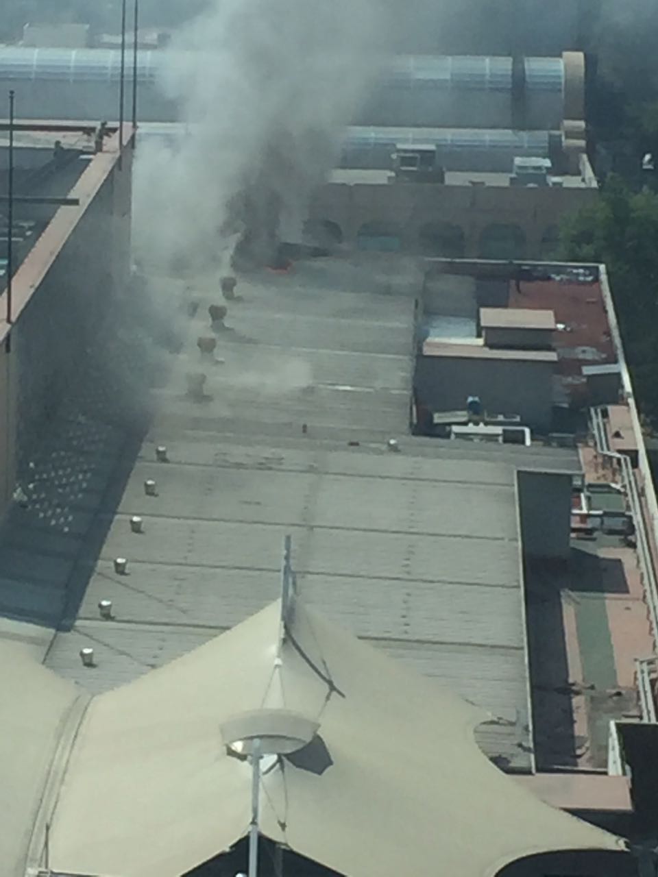 Incendio en Liverpool Insurgentes - WhatsApp-Image-2017-02-10-at-12.03.02-PM