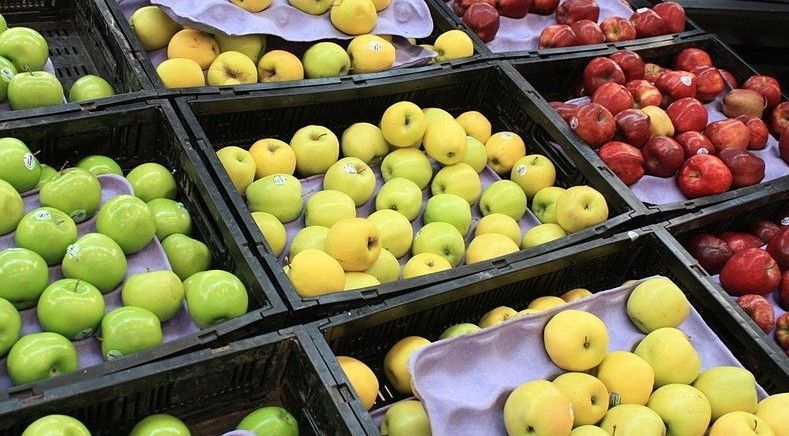 México produce 20 por ciento de los alimentos que compra EE.UU.