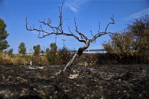 Casi controlados los incendios en Chile