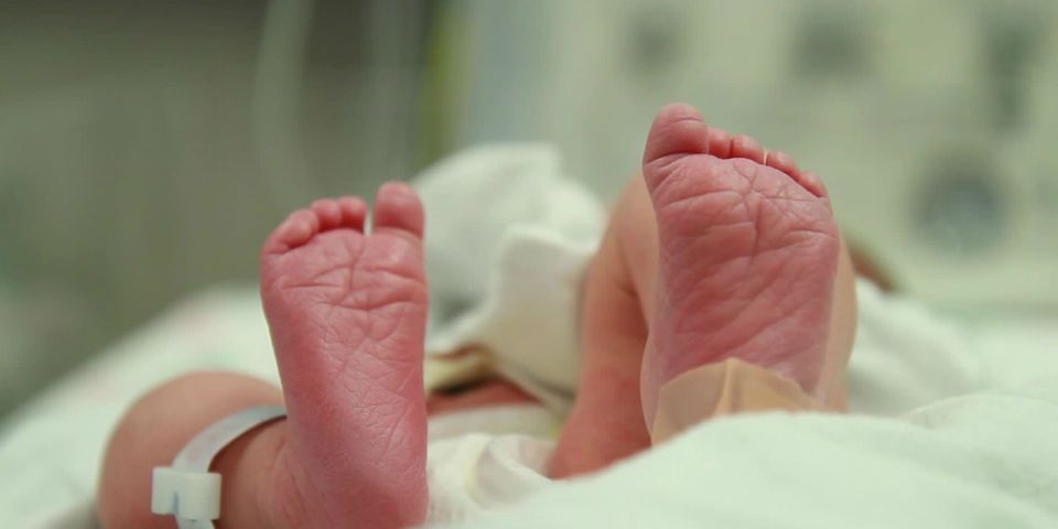 Sobrevive bebé que pesó 400 gramos al nacer