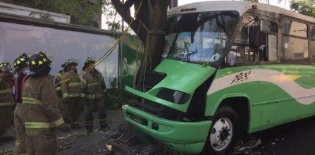 Camión choca contra un poste y un árbol en Periférico