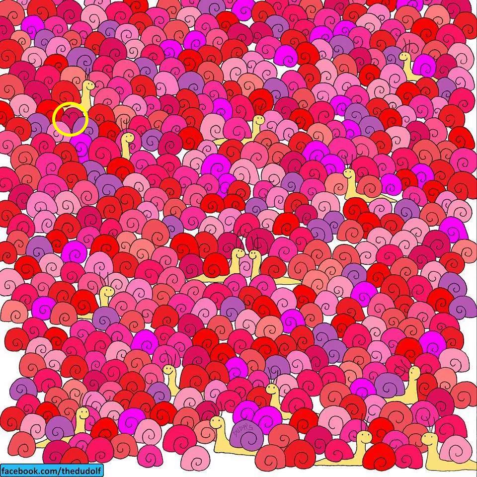 Encuentra el corazón entre los caracoles - caracoles-2