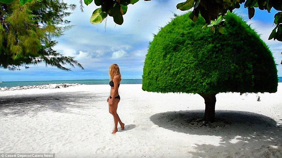 Mujer rompe récord al visitar todos los países del mundo en 18 meses - cassie-kiribati