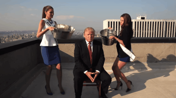 La verdad detrás del cabello de Donald Trump - donald-trump-ice-bucket-gif