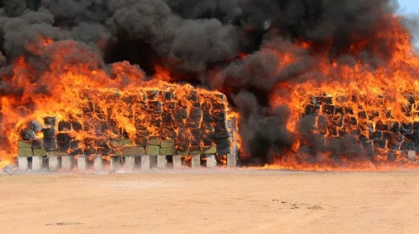 Incineran 7.9 toneladas de drogas en Sonora