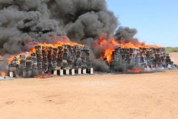Incineran 7.9 toneladas de drogas en Sonora - drogas