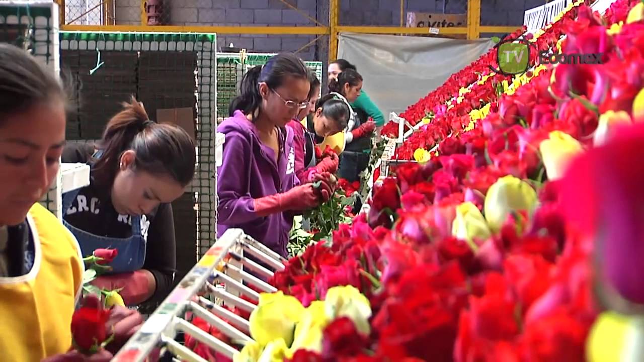 Flores al doble de precio por 14 de febrero