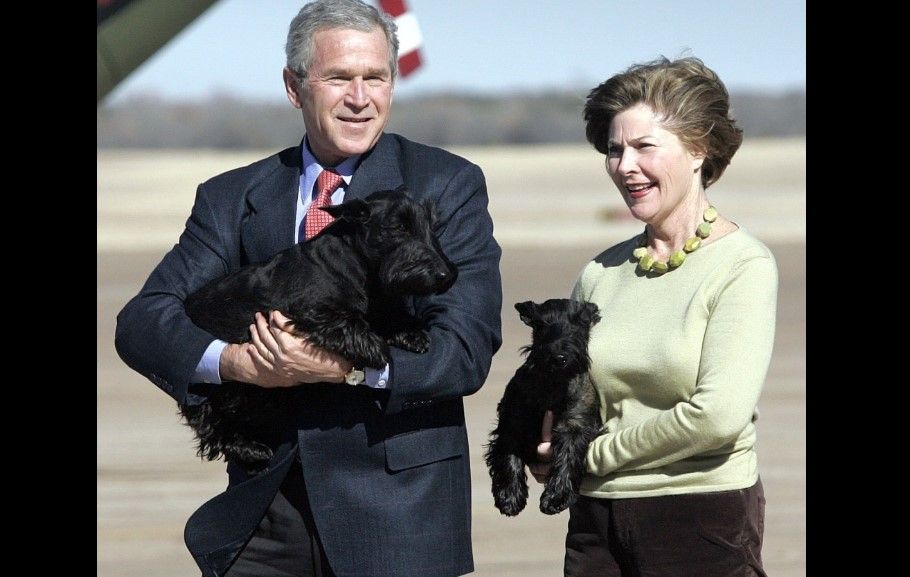 Las mascotas de los presidentes de Estados Unidos - george-w-bush