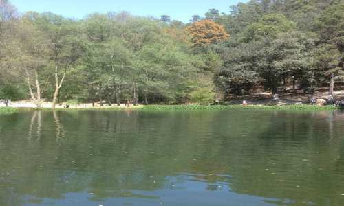 Desaparecen cinco turistas en Hidalgo - imag7-1