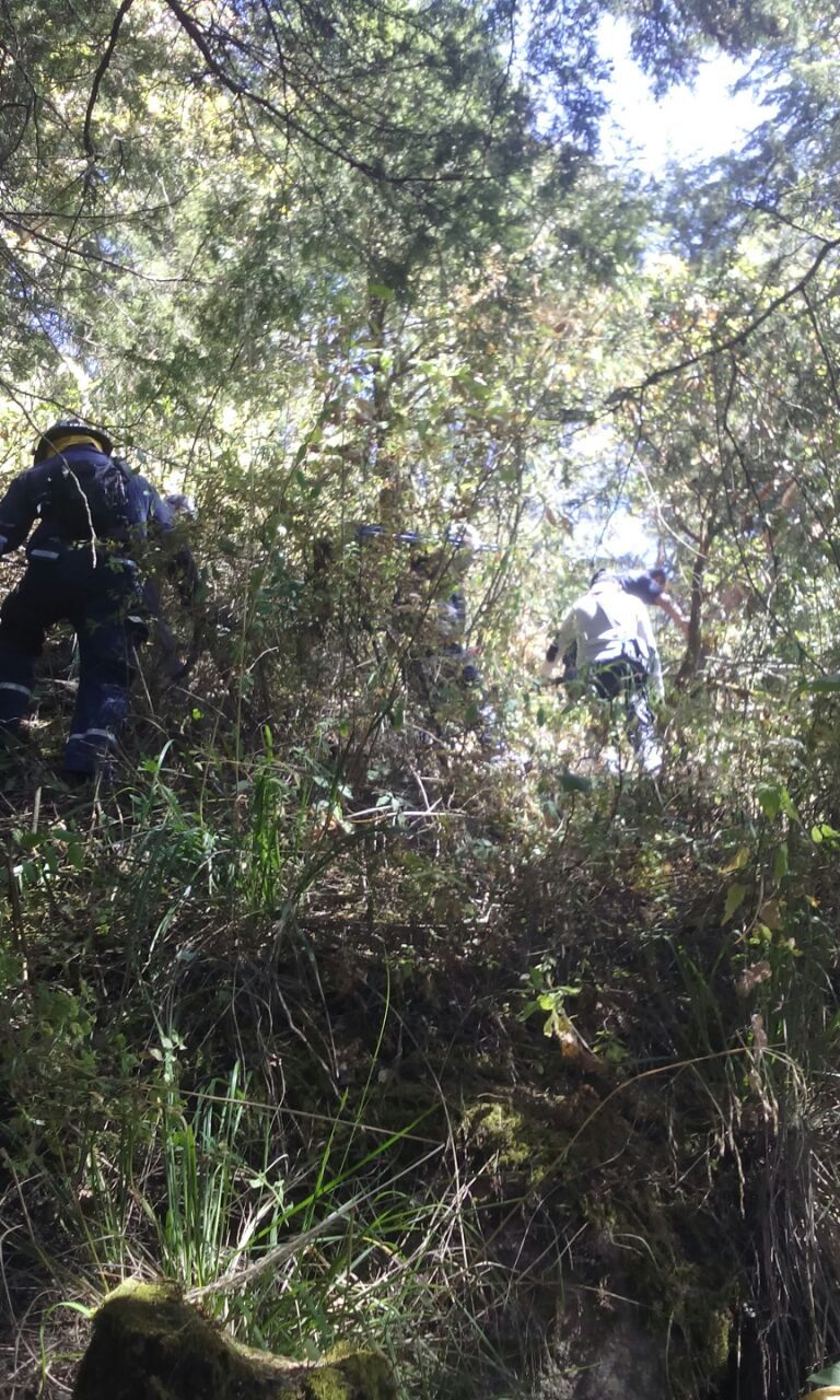 Joven sobrevive ocho días en el Popocatépetl comiendo hierbas - img_0613