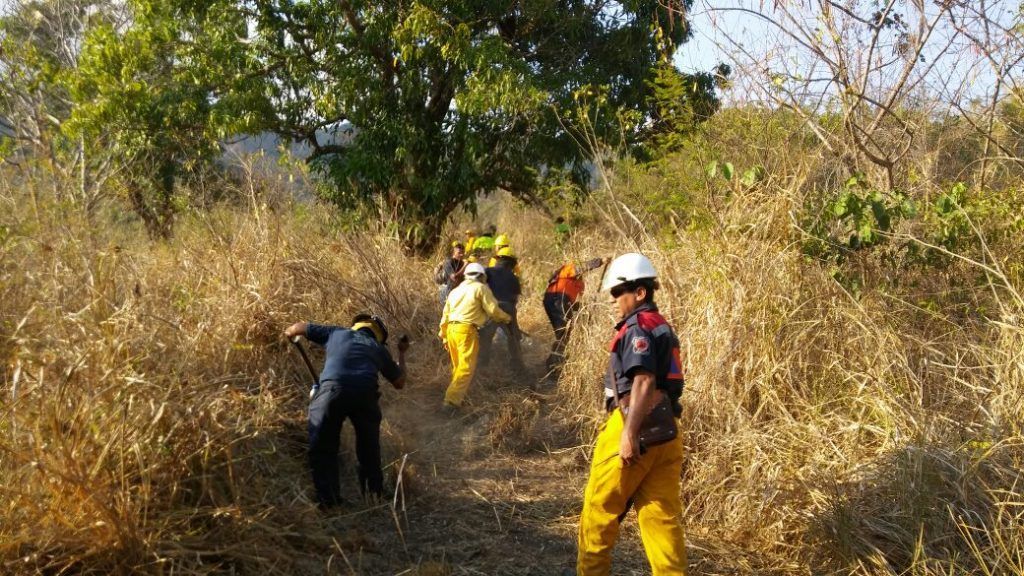 Sofocan incendio en Acapulco - incendio-el-veladero-4-1024x576
