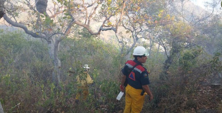 Sofocan incendio en Acapulco - incendio-el-veladero