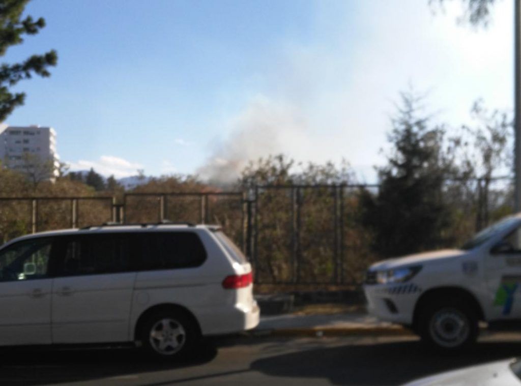 Apagan incendio en Reserva Ecológica del Pedregal de San Ángel - incendio-pedregal-san-angel-2-1024x759