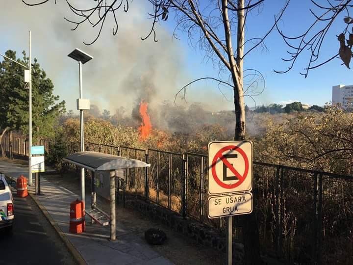 Apagan incendio en Reserva Ecológica del Pedregal de San Ángel