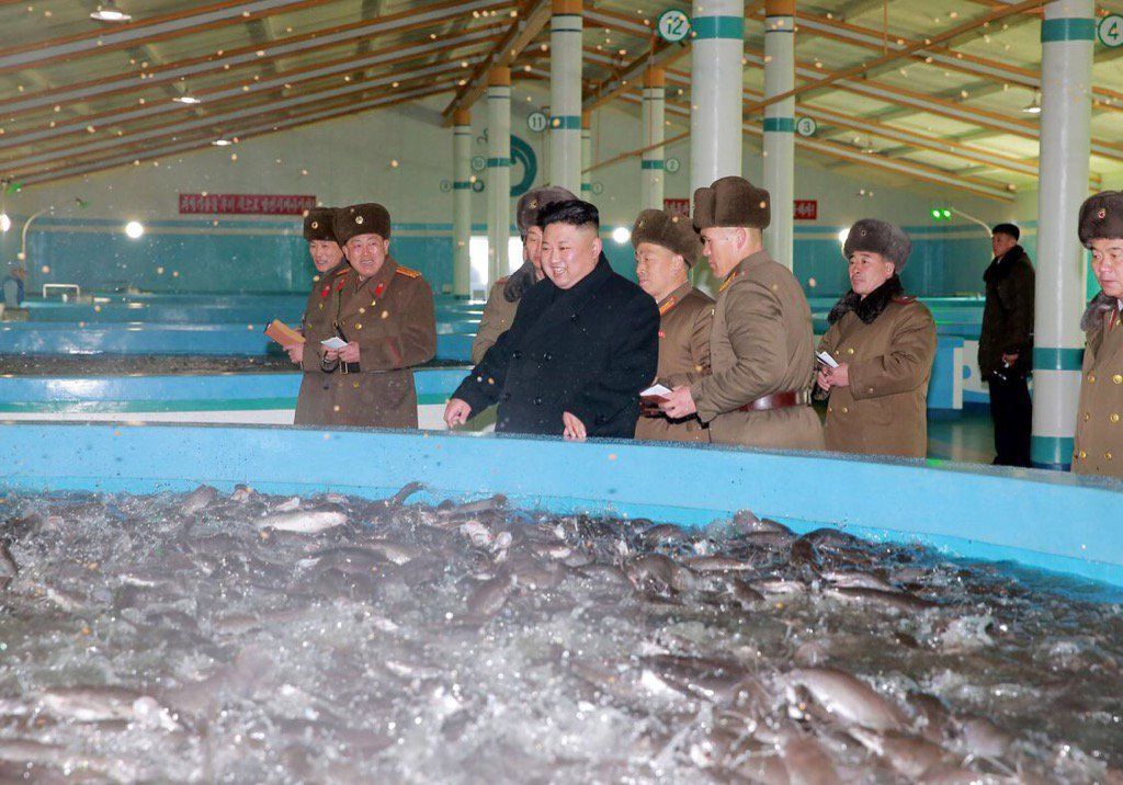 Captan a Kim Jong-un sonriendo tras la muerte de su medio hermano - kim-jong-un-1