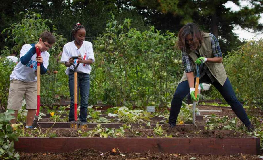 Melania Trump conservará el huerto de Michelle Obama - michelle-obama