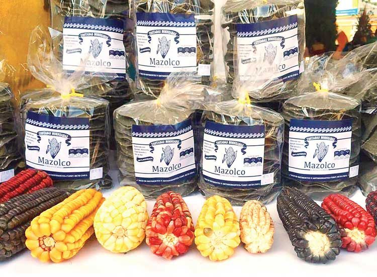 Migrante regresa a México y crea su propio negocio - migrante-maiz-azul-2-e1486828948786