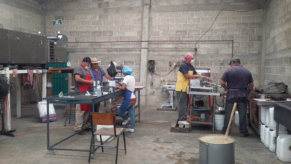 Migrante regresa a México y crea su propio negocio - migrante-maiz-azul-4