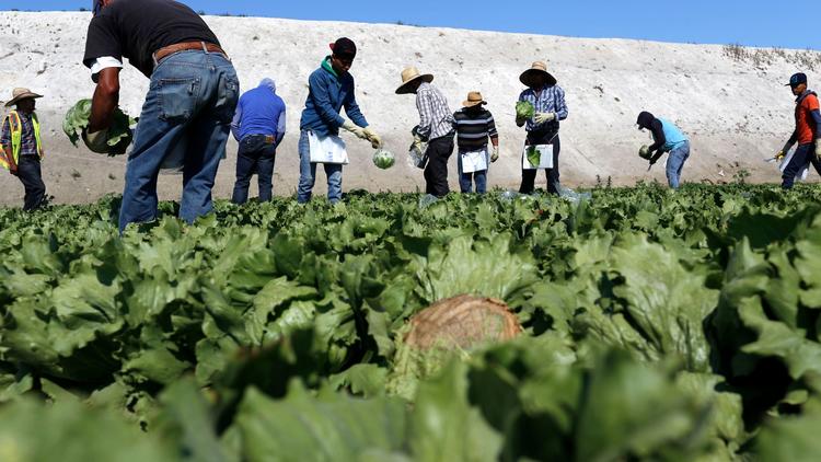 “EE.UU. necesita un muro para mantener a los migrantes dentro”: LA Times