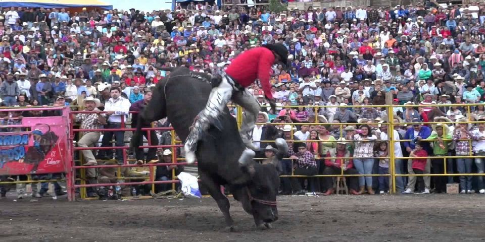 Confirman desaparición de siete jinetes en Guerrero Confirman desaparición de siete jinetes en Guerrero