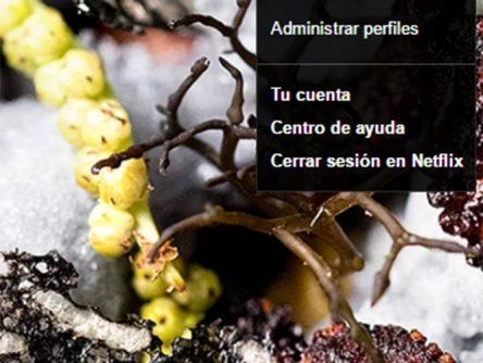 ¿Cómo saber si alguien ha usado sin permiso tu cuenta de Netflix? - netflix1