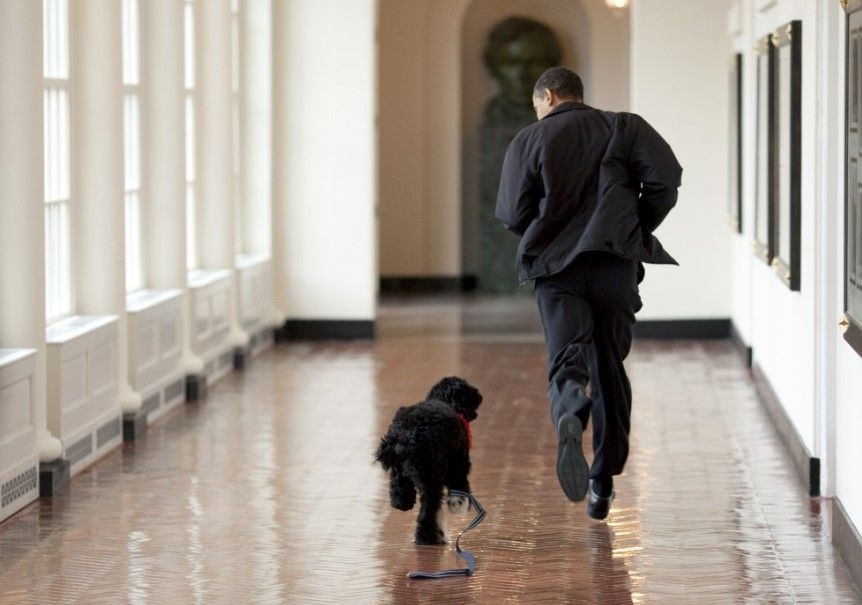 Las mascotas de los presidentes de Estados Unidos - obama