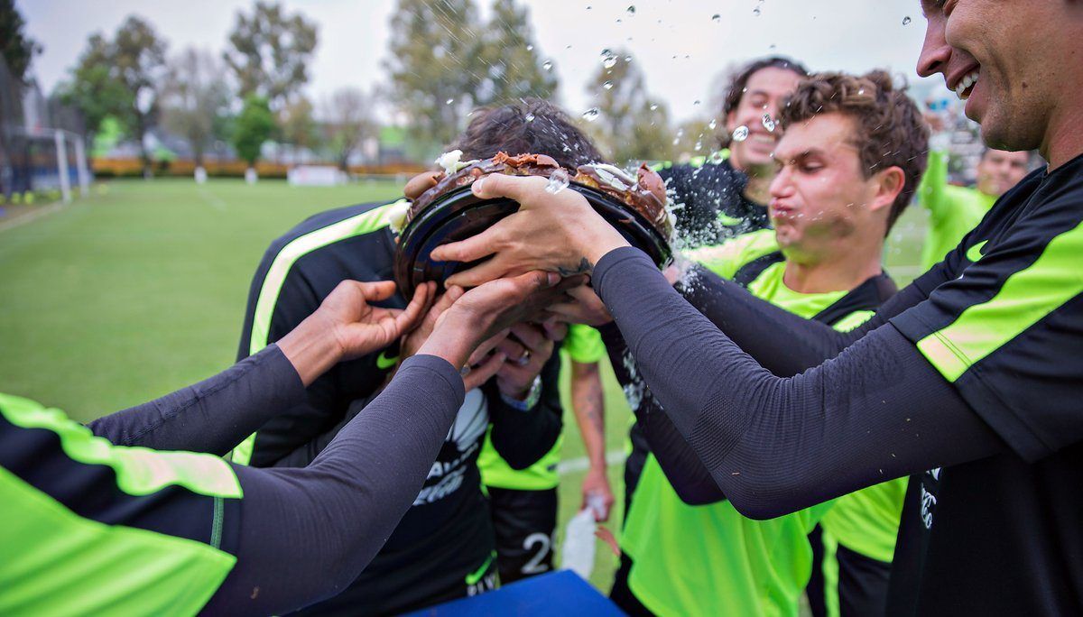 Jugadores del América festejan cumpleaños de La Volpe con pastelazo
