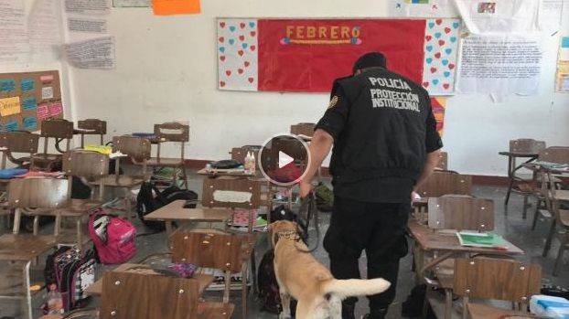 Encuentran arma de fuego en escuela de Monterrey - revolver-escuela-monterrey-1