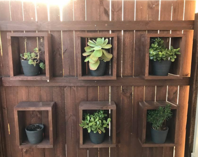 Encuentra a la serpiente en la maceta