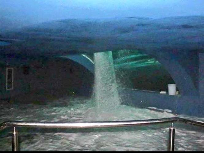 Acuario de Mazatlán sufre fuga de agua en tiburonario