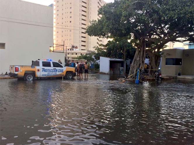 Acuario de Mazatlán sufre fuga de agua en tiburonario - tiburonario-4