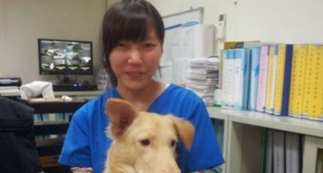 Veterinaria se suicida con fármaco con que mató a perros